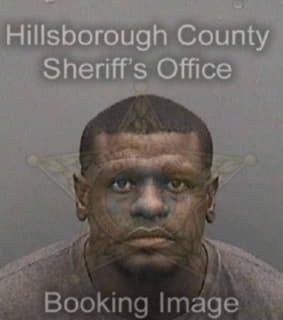 Singletary Jefrrey - Hillsborough County, Florida 