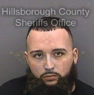 Lopezrodriguez Joel - Hillsborough County, Florida 