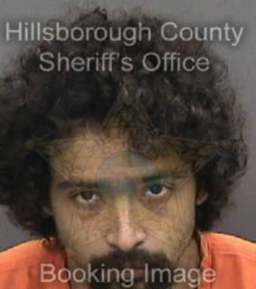 Peters Richard - Hillsborough County, Florida 