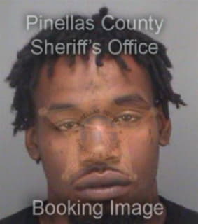 Polk Johnteves - Pinellas County, Florida 