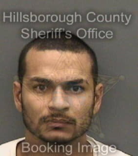 Linares Pedro - Hillsborough County, Florida 