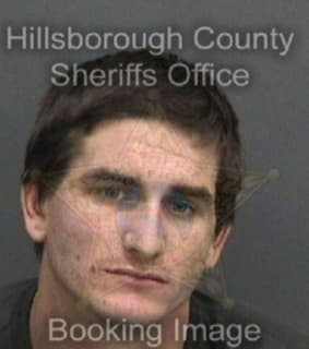 Aplin Zachary - Hillsborough County, Florida 