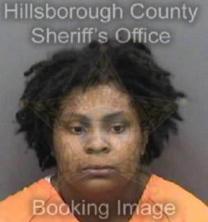 Lewis Zaria - Hillsborough County, Florida 