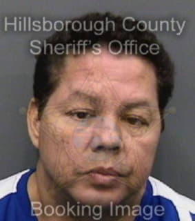 Irizarryromero Alexis - Hillsborough County, Florida 