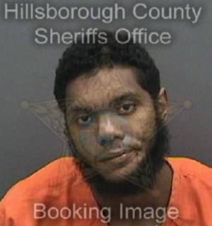 Knowles Shi - Hillsborough County, Florida 