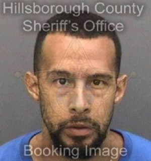 Pringle Joseph - Hillsborough County, Florida 