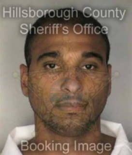 Perezgonzalez Gilberto - Hillsborough County, Florida 