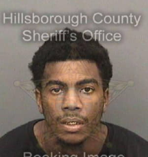 Johnson Dremaine - Hillsborough County, Florida 