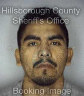 Aguirre Guadencio - Hillsborough County, Florida 