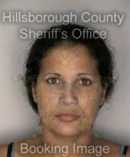 Rodriguez Luz - Hillsborough County, Florida 