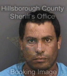 Martinezarias Andres - Hillsborough County, Florida 