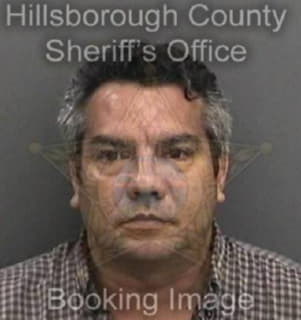 Pena Carlos - Hillsborough County, Florida 