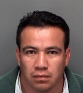 Blanco Germain - Pinellas County, Florida 