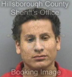 Martinez Roglioe - Hillsborough County, Florida 