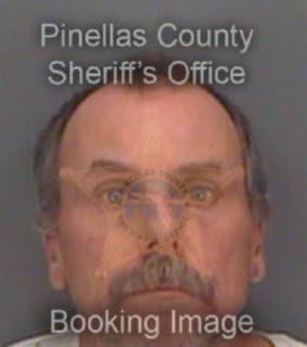 Dimarzo Ronald - Pinellas County, Florida 