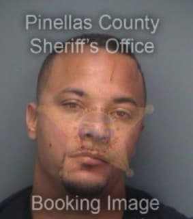 Blanchard Terrence - Pinellas County, Florida 