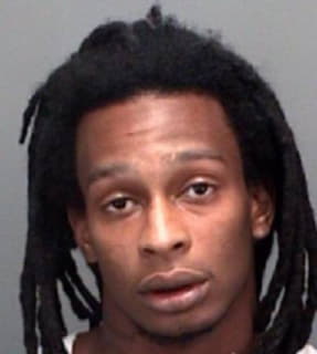 Patterson Anthony - Pinellas County, Florida 