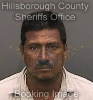 Olivierhernandez Bigail - Hillsborough County, Florida 