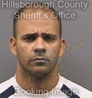 Fonseca Jose - Hillsborough County, Florida 