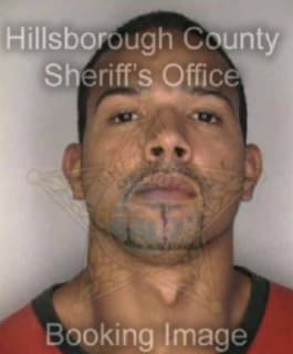 Rivera Juan - Hillsborough County, Florida 