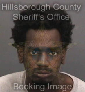 Johnson Kenneth - Hillsborough County, Florida 