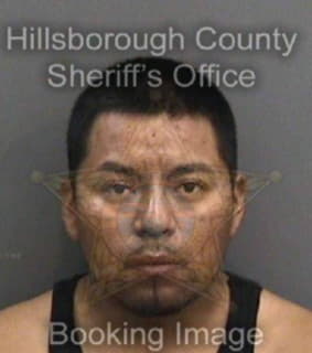 Lopez Manuel - Hillsborough County, Florida 