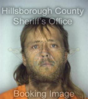 Davis Michael - Hillsborough County, Florida 