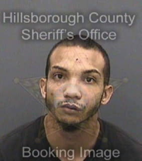 Andujar Shawn - Hillsborough County, Florida 