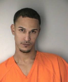 Melendez Steven - Hillsborough County, Florida 