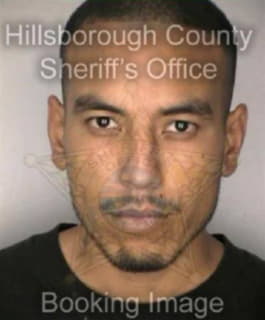 Ponce Arturo - Hillsborough County, Florida 