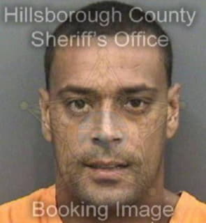 Ruiz Hector - Hillsborough County, Florida 