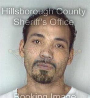 Dejesus Jose - Hillsborough County, Florida 