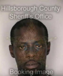 Mctear Richard - Hillsborough County, Florida 