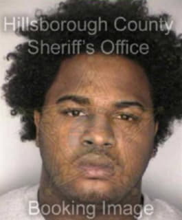 Ford Anthony - Hillsborough County, Florida 