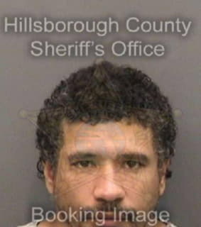 Nevarezdiaz David - Hillsborough County, Florida 