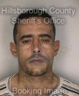 Rosado Jorge - Hillsborough County, Florida 