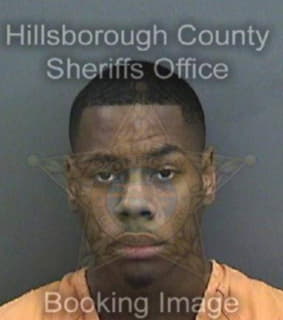 Parkman Matthew - Hillsborough County, Florida 