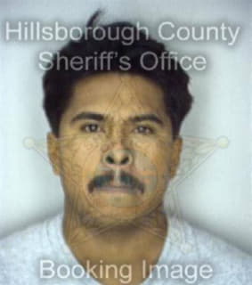 Rosales Donato - Hillsborough County, Florida 