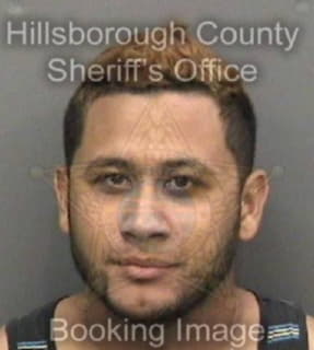 Ruiz Kelvin - Hillsborough County, Florida 