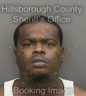 Robinson Roger - Hillsborough County, Florida 