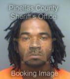 Collins Yori - Pinellas County, Florida 