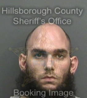 Andreu David - Hillsborough County, Florida 