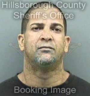 Cruz Julio - Hillsborough County, Florida 