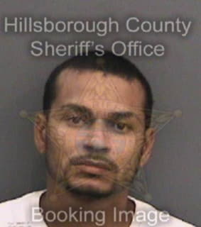 Linares Pedro - Hillsborough County, Florida 