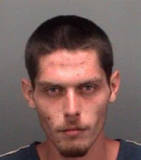 Simmons Anthony - Pinellas County, Florida 