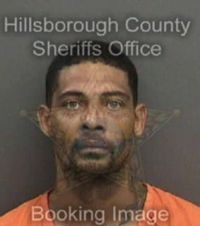 Oneal David - Hillsborough County, Florida 