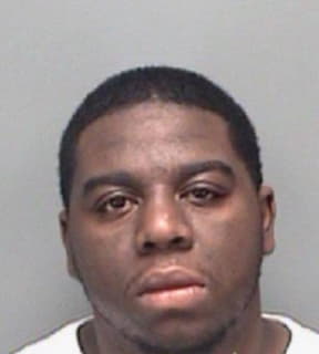 Blount Joel - Pinellas County, Florida 