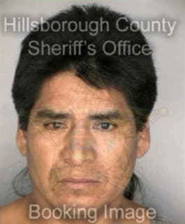 Delacruzramirez Jose - Hillsborough County, Florida 