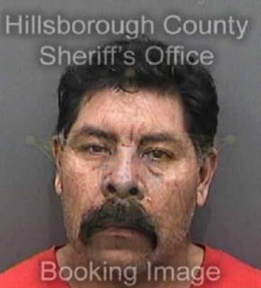 Rojas Jose - Hillsborough County, Florida 