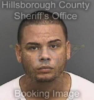 Ortiz Michael - Hillsborough County, Florida 